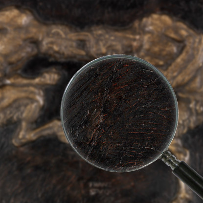 Fauni Combattenti Franz von Stuck fvs47 quadro stampato su tela