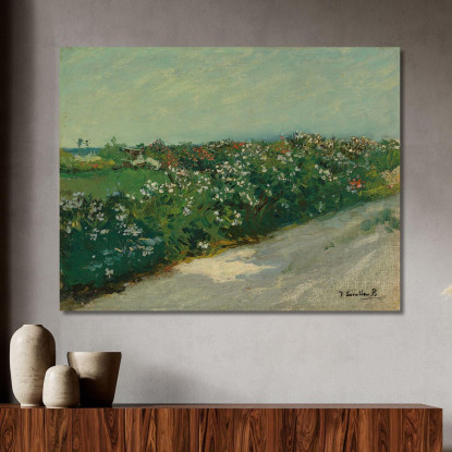 Malvarrosa Joaquín Sorolla jsr60 quadro stampato su tela