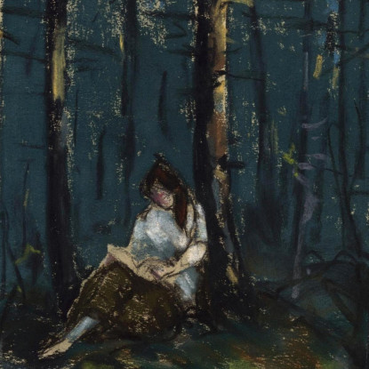 Il Lettore Nella Foresta Robert Henri rhn70 quadro stampato su tela