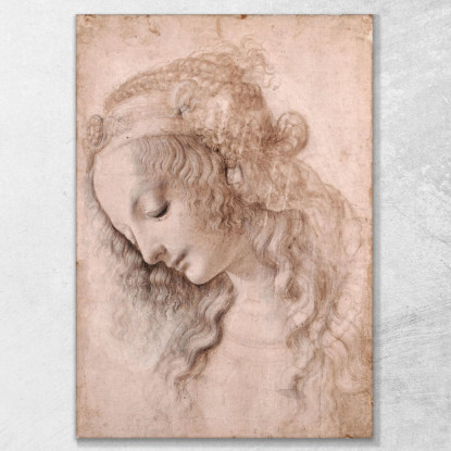 Testa Di Donna Leonardo Da Vinci ldv8 quadro stampato su tela