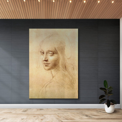 Testa Di Donna Leonardo Da Vinci ldv17 quadro stampato su tela