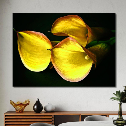 Quadro Astratto Calla Delicata abs10 quadro stampato su tela