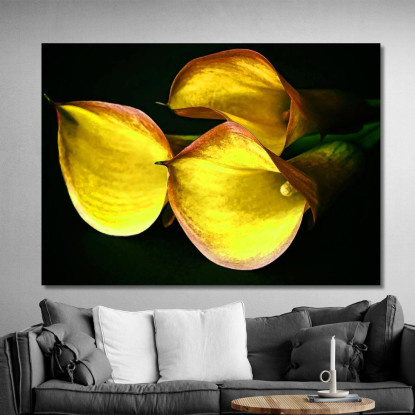 Quadro Astratto Calla Delicata abs10 quadro stampato su tela