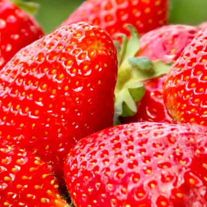 Quadro Moderno Cestino Di Fragole Fresche Su Sfondo Verde foo20 quadro stampato su tela