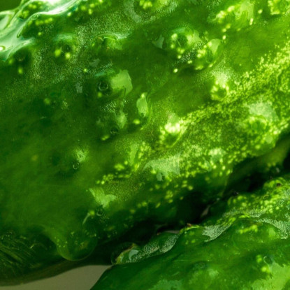 Quadro Moderno Cetrioli Freschi Con Foglia Verde foo23 quadro stampato su tela