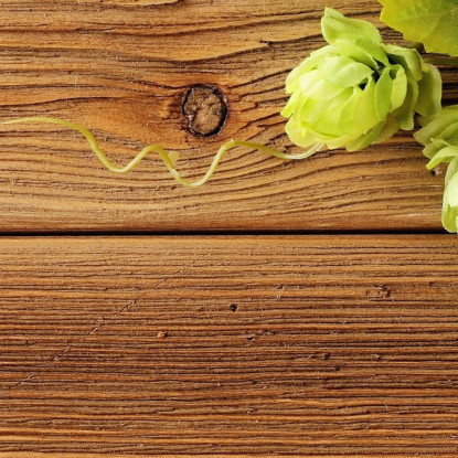 Quadro Moderno Composizione Autunnale Con Mele E Bacche foo36 quadro stampato su tela