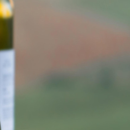 Quadro Moderno Degustazione Di Vino Con Formaggi E Salumi In Collina foo51 quadro stampato su tela