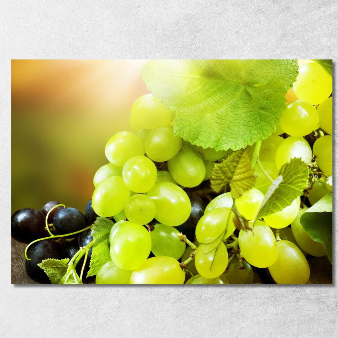 Quadro Moderno Grappoli Di Uva Succosi foo58 quadro stampato su tela