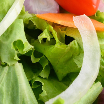 Quadro Moderno Insalata Fresca Con Lattuga Pomodorini E Cipolla foo71 quadro stampato su tela