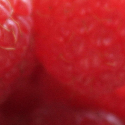 Quadro Moderno Lamponi Freschi foo75 quadro stampato su tela