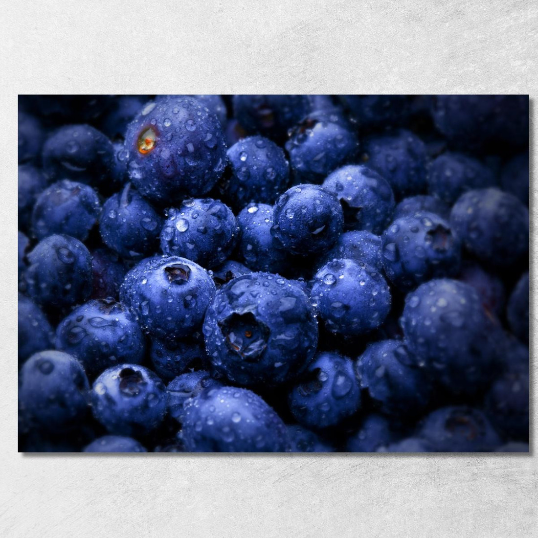 Quadro Moderno Mirtilli Blu Con Rugiada foo80 quadro stampato su tela