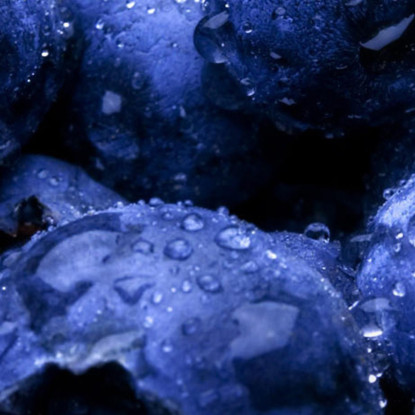 Quadro Moderno Mirtilli Blu Con Rugiada foo80 quadro stampato su tela