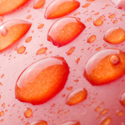 Quadro Moderno Pesca Con Gocce Di Rugiada foo91 quadro stampato su tela