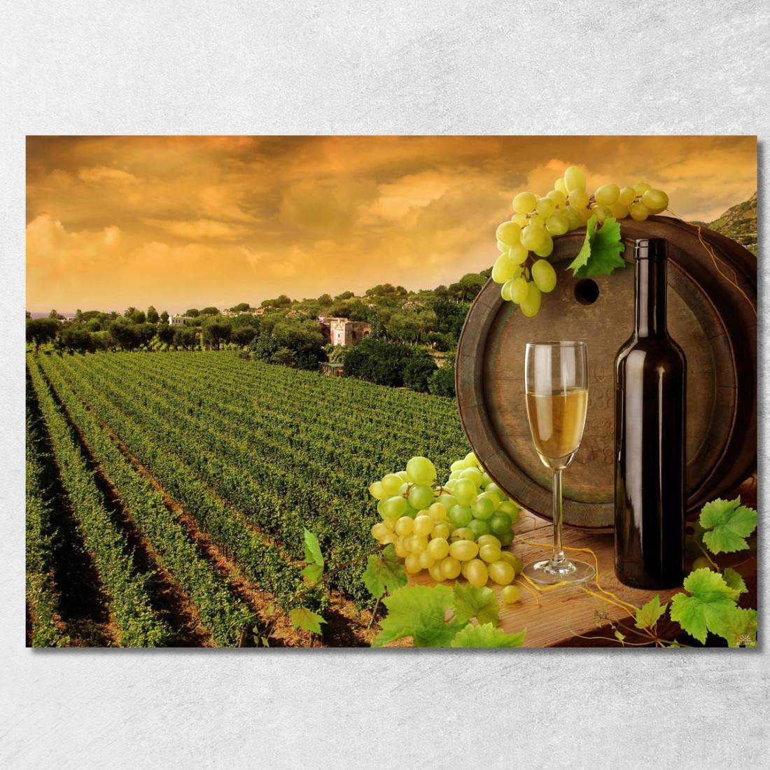 Quadro Moderno Vigneto Al Tramonto Con Botte Di Vino E Uva Bianca foo118 quadro stampato su tela