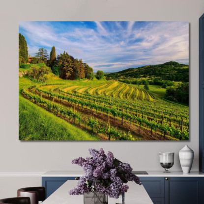 Quadro Moderno Vigneto Collinare Al Tramonto foo119 quadro stampato su tela