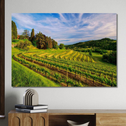 Quadro Moderno Vigneto Collinare Al Tramonto foo119 quadro stampato su tela