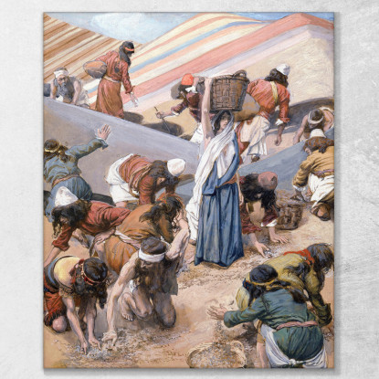 La Raccolta Della Manna James Tissot jts119 quadro stampato su tela