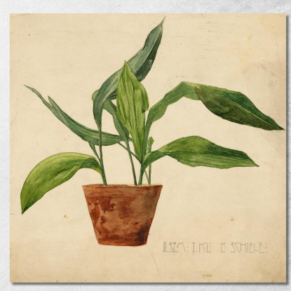 Pianta In Vaso (Lavoro Scolastico) Egon Schiele esh194 quadro stampato su tela