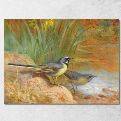 5 Ballerine Grigie Archibald Thorburn ath1 quadro stampato su tela