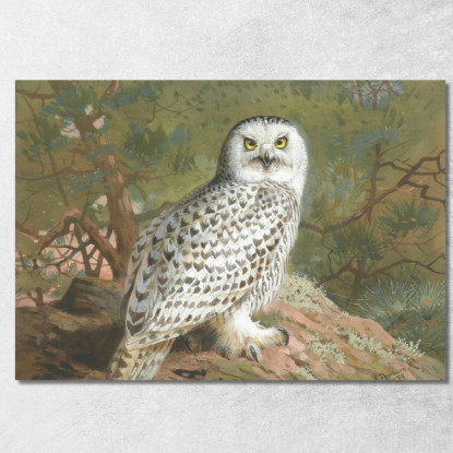 Una Femmina Di Civetta Delle Nevi Archibald Thorburn ath3 quadro stampato su tela