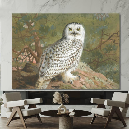 Una Femmina Di Civetta Delle Nevi Archibald Thorburn ath3 quadro stampato su tela