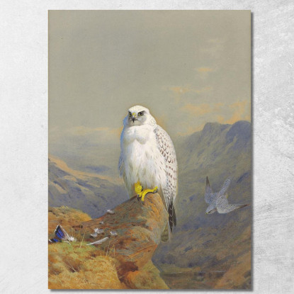 Un Falco Della Groenlandia Su Uno Sperone Roccioso Archibald Thorburn ath4 quadro stampato su tela