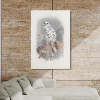 Un Falco Della Groenlandia Archibald Thorburn ath5 quadro stampato su tela