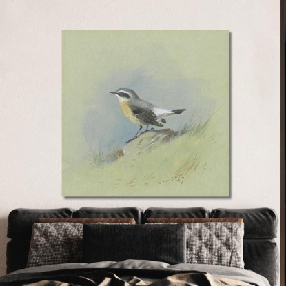 Un Maschio Di Culbianco Archibald Thorburn ath7 quadro stampato su tela