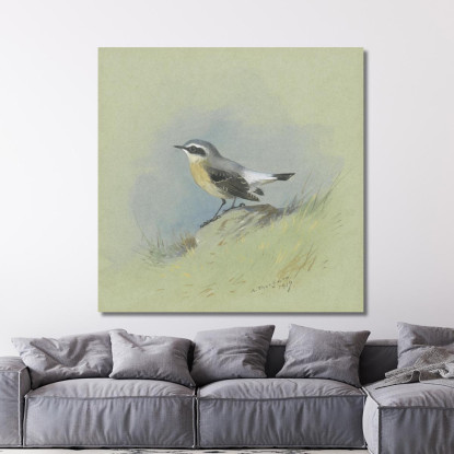 Un Maschio Di Culbianco Archibald Thorburn ath7 quadro stampato su tela