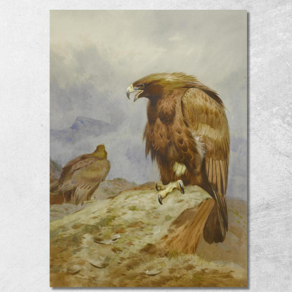 Una Coppia Di Aquile Reali Archibald Thorburn ath9 quadro stampato su tela