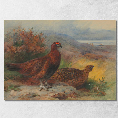 Una Coppia Di Pernici Rosse In Un Paesaggio Archibald Thorburn ath11 quadro stampato su tela