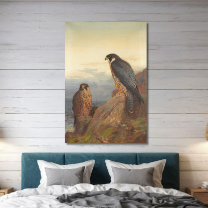 Un Falco Pellegrino Adulto E Uno Giovane Archibald Thorburn ath16 quadro stampato su tela