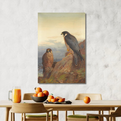 Un Falco Pellegrino Adulto E Uno Giovane Archibald Thorburn ath16 quadro stampato su tela