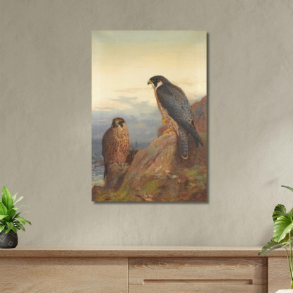 Un Falco Pellegrino Adulto E Uno Giovane Archibald Thorburn ath16 quadro stampato su tela
