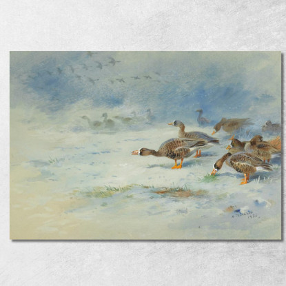 Oche Facciabianca Archibald Thorburn ath17 quadro stampato su tela