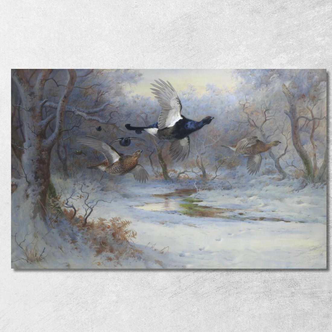 Fagiano Di Monte E Pernice In Volo In Inverno Archibald Thorburn ath23 quadro stampato su tela