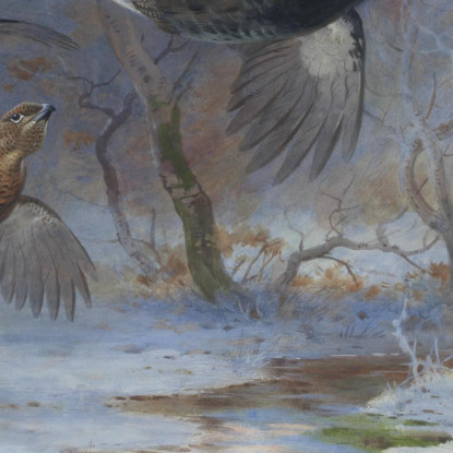 Fagiano Di Monte E Pernice In Volo In Inverno Archibald Thorburn ath23 quadro stampato su tela