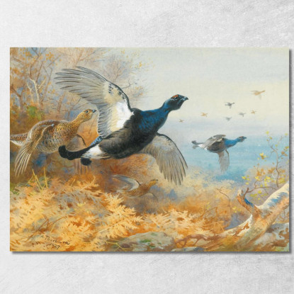 Fagiano Di Monte In Primo Piano Archibald Thorburn ath24 quadro stampato su tela