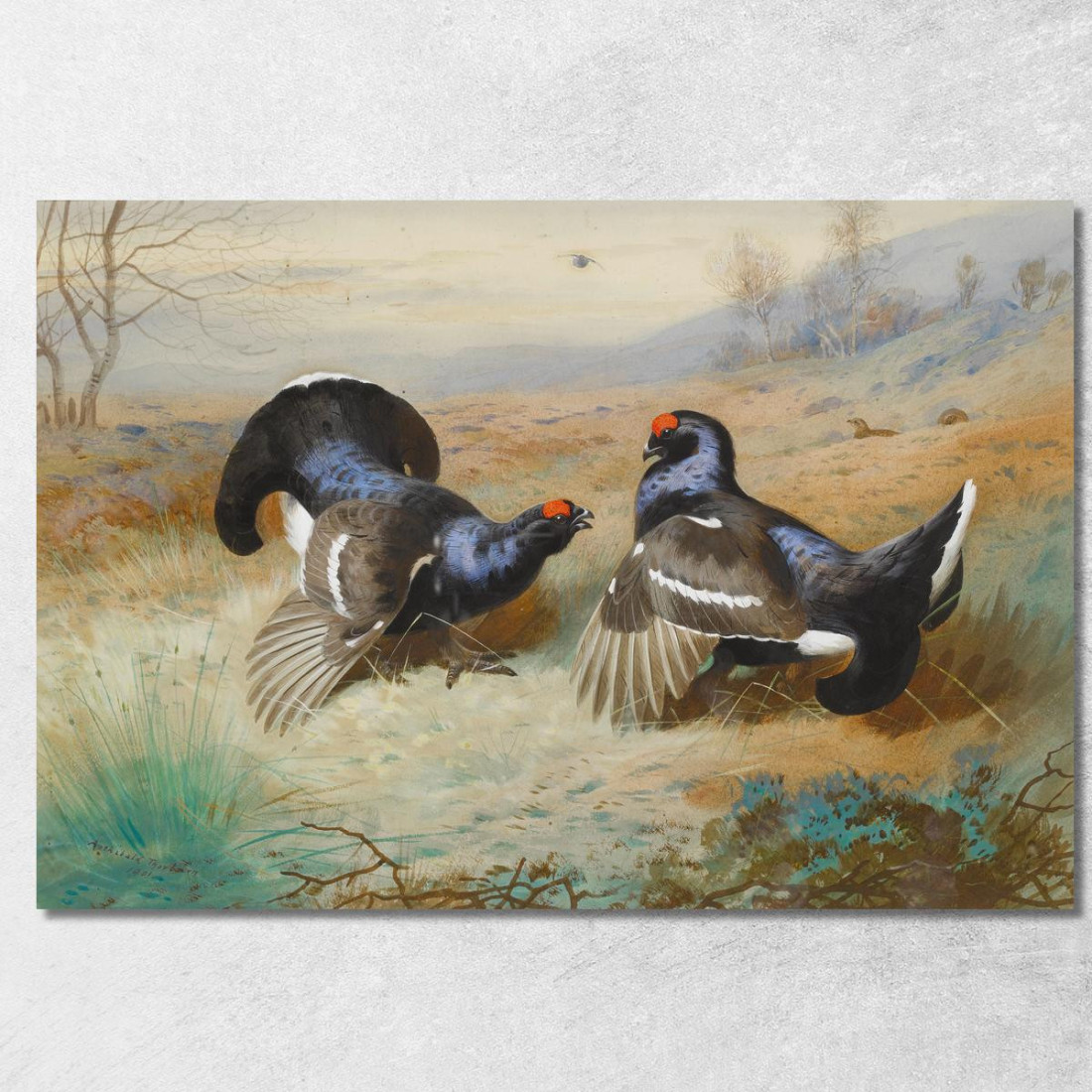 Fagiani Di Monte Al Lek Archibald Thorburn ath26 quadro stampato su tela