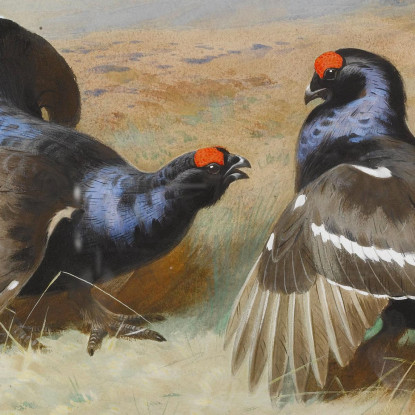 Fagiani Di Monte Al Lek Archibald Thorburn ath26 quadro stampato su tela