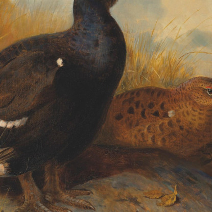 Fagiani Di Monte Su Uno Sperone Roccioso Con Un Lago Sullo Sfondo Archibald Thorburn ath27 quadro stampato su tela