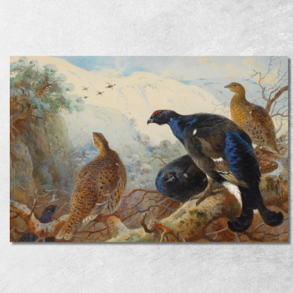 Fagiani Di Monte Archibald Thorburn ath28 quadro stampato su tela