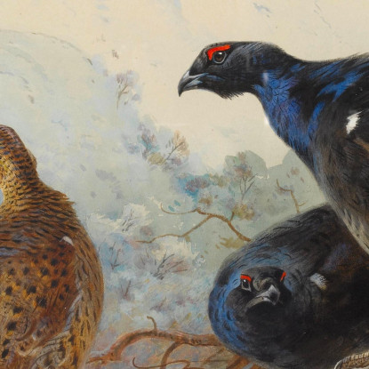 Fagiani Di Monte Archibald Thorburn ath28 quadro stampato su tela