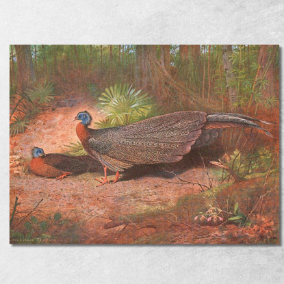 Fagiano Argus Del Borneo Archibald Thorburn ath30 quadro stampato su tela