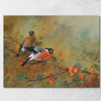 Ciuffolotti E Pyrus Japonica Archibald Thorburn ath31 quadro stampato su tela