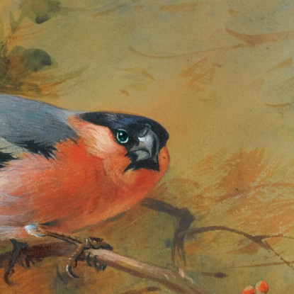 Ciuffolotti E Pyrus Japonica Archibald Thorburn ath31 quadro stampato su tela