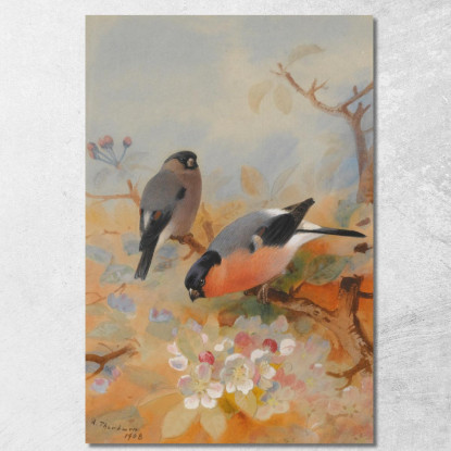 Ciuffolotti Archibald Thorburn ath32 quadro stampato su tela