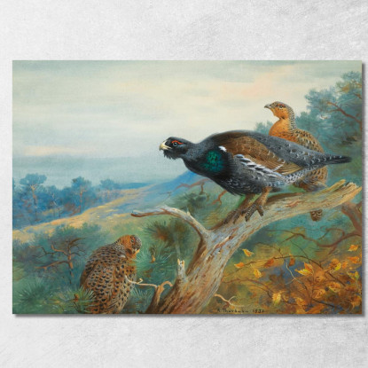 Gallo Cedrone Archibald Thorburn ath34 quadro stampato su tela