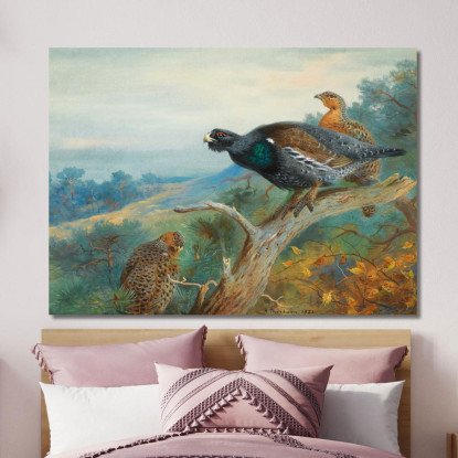 Gallo Cedrone Archibald Thorburn ath34 quadro stampato su tela