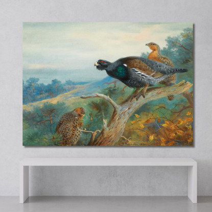 Gallo Cedrone Archibald Thorburn ath34 quadro stampato su tela